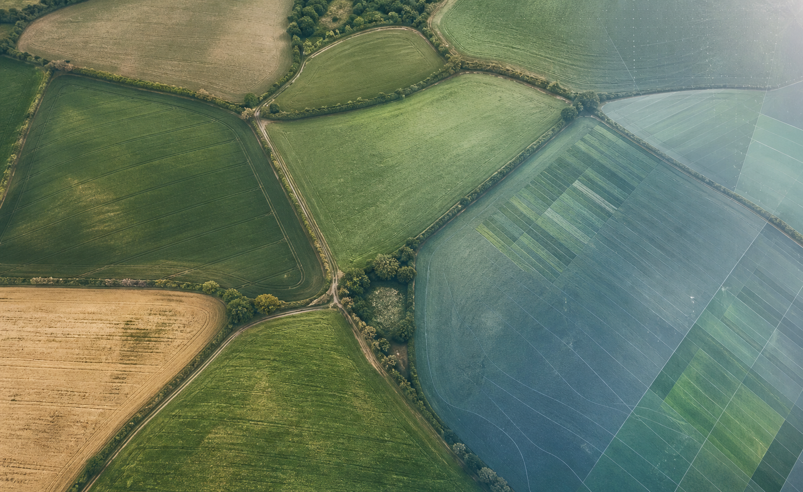 Illustrative aerial agricultural trial view with restrained analytical treatment